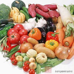 农安云 首都农产品安全产业技术研究院的科技守护者