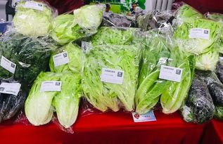 石门市场大型土特产展销会 连续三天，农产品盛宴