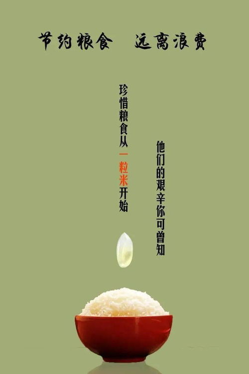节约粮食，从你我做起